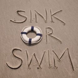 Sink or Swim Directors Circle November Newsletter